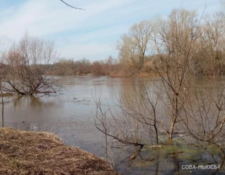 Паводок-2022: в Саратовской области затоплены 7 мостов и 2 плотины