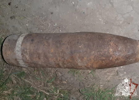Житель Трещихи нашел снаряд времен Великой Отечественной войны – Росгвардия обезвредила боеприпас