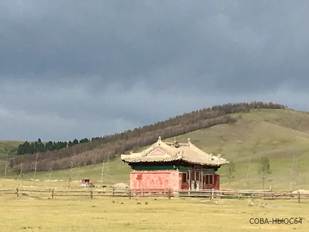 Вместо Европы - в Монголию: саратовцам предложили новое туристическое направление