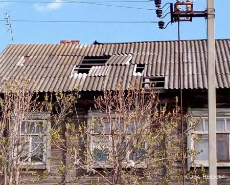 «Скотину содержат в лучших условиях»: жители Маркса выложили в сеть фото аварийного дома