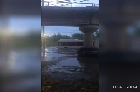 В Саратове потоп: упало дерево, встал общественный транспорт, машины плывут