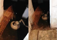 «Вся канализация льется к нам»: жильцы утонувшего в нечистотах энгельсского дома бьют тревогу