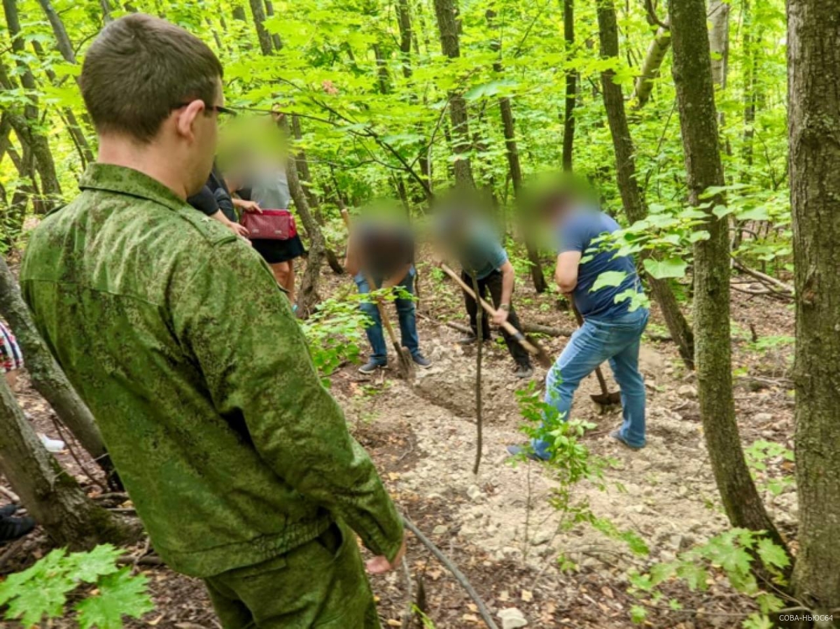 В посадках на Лесной Республике найдены части тела