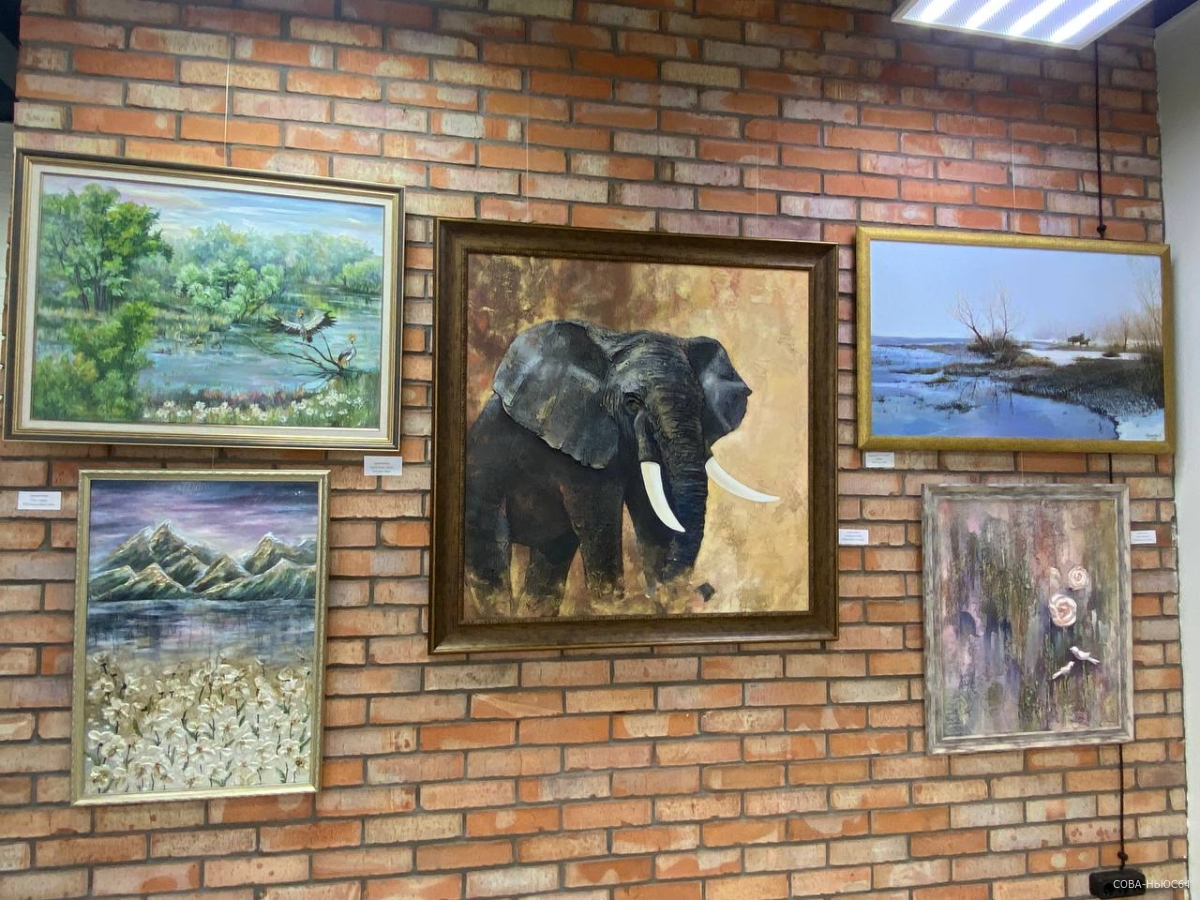 Новое экспозиционное пространство организовали в Саратове для начинающих художников