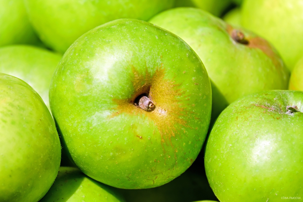 В первые выходные сентября пройдет фестиваль «Багаевские яблочки»