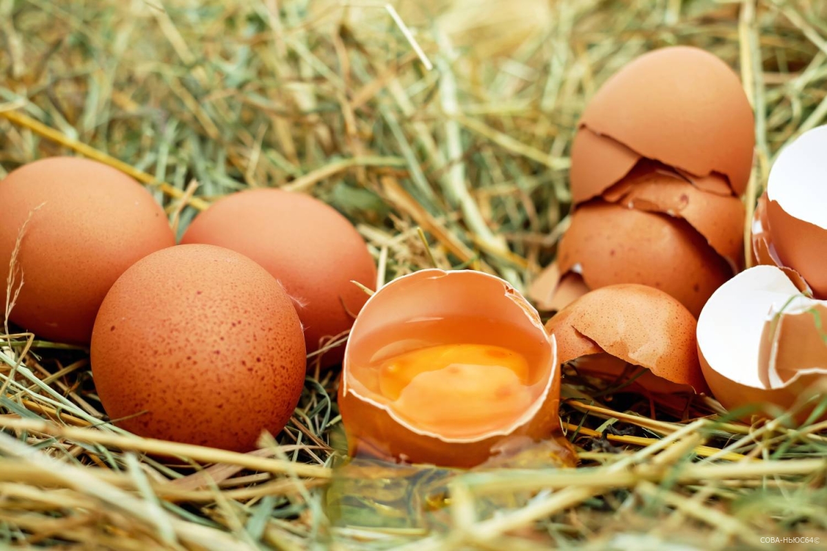 С начала года в Саратовской области произвели свыше 890 миллионов штук яиц