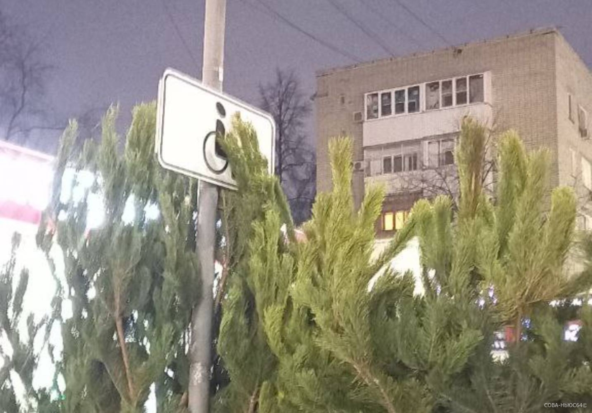 Ладе Мокроусовой пожаловались на елочный базар на месте парковки для инвалидов