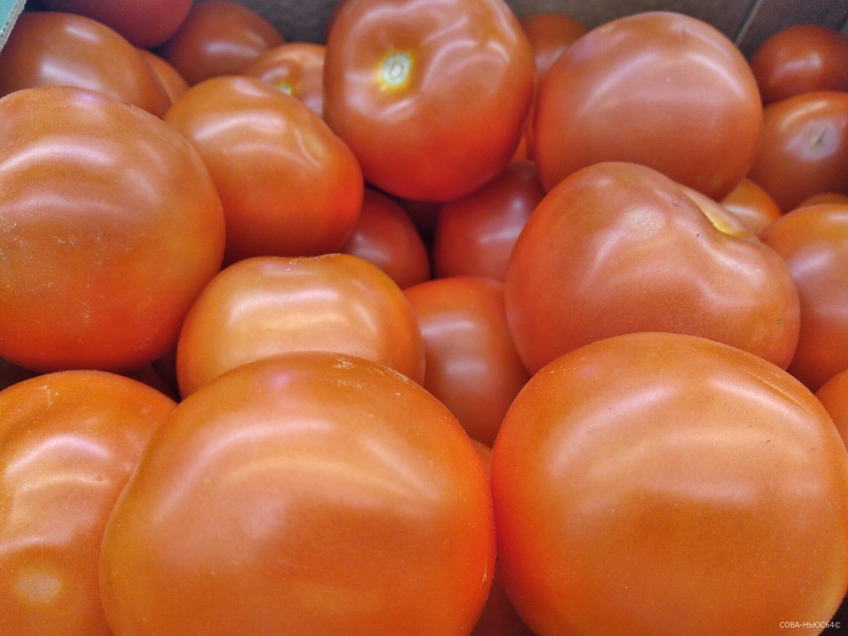 За первую неделю 2023 года в Саратове подорожали огурцы и помидоры