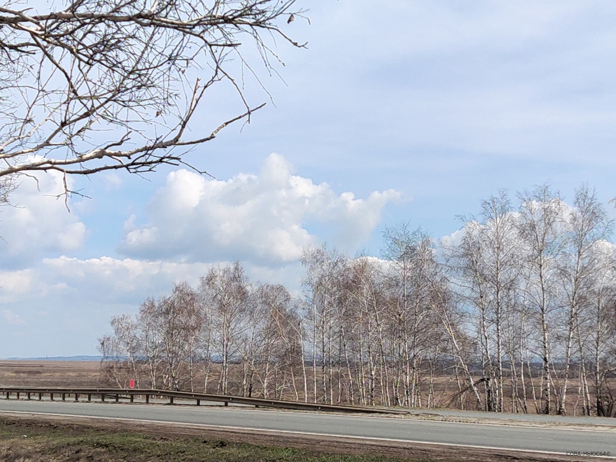 Саратовская область заняла 62-е место в «Национальном экологическом рейтинге»