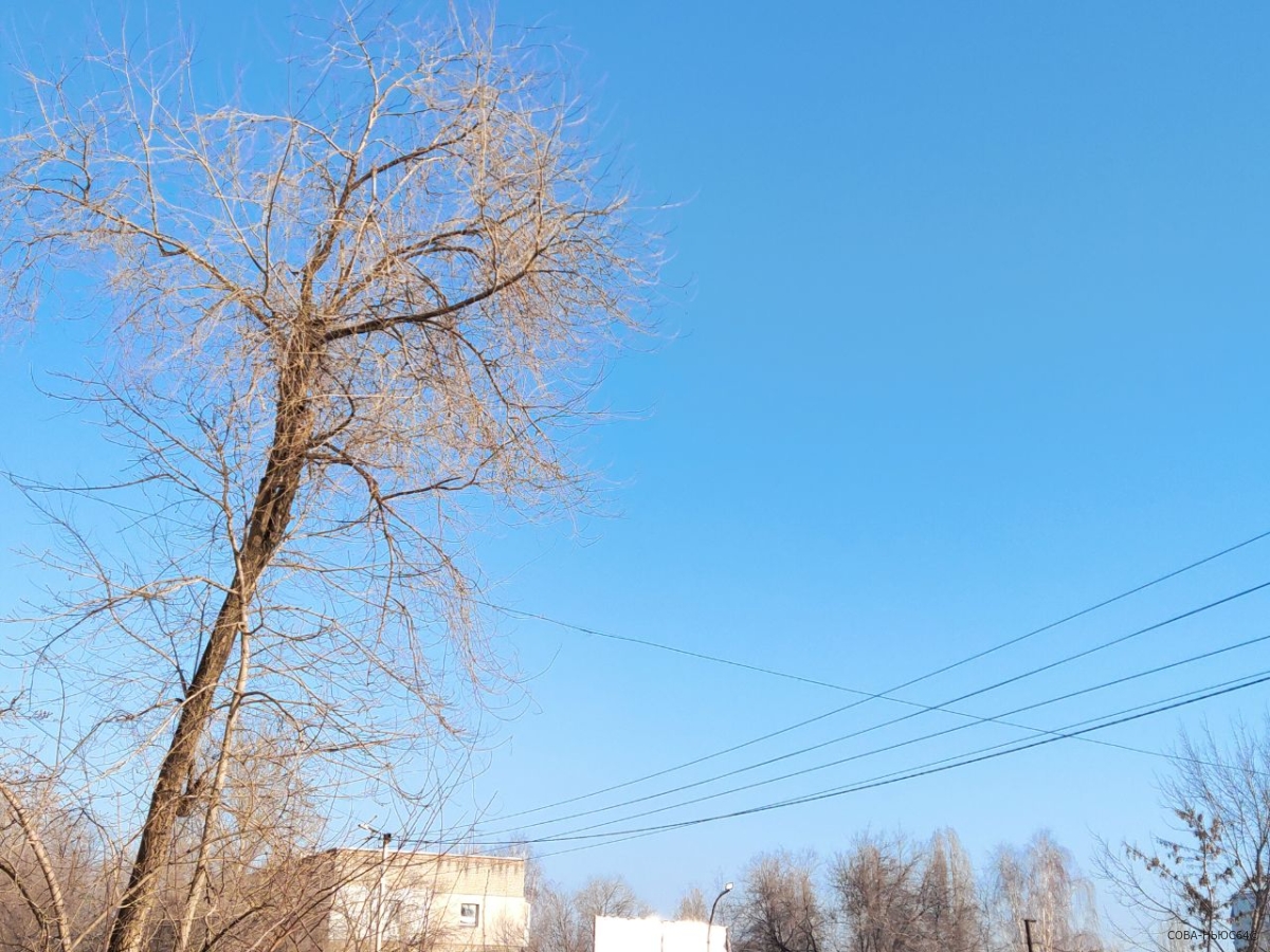 Сегодня в Саратовской области воздух прогреется до +16 градусов