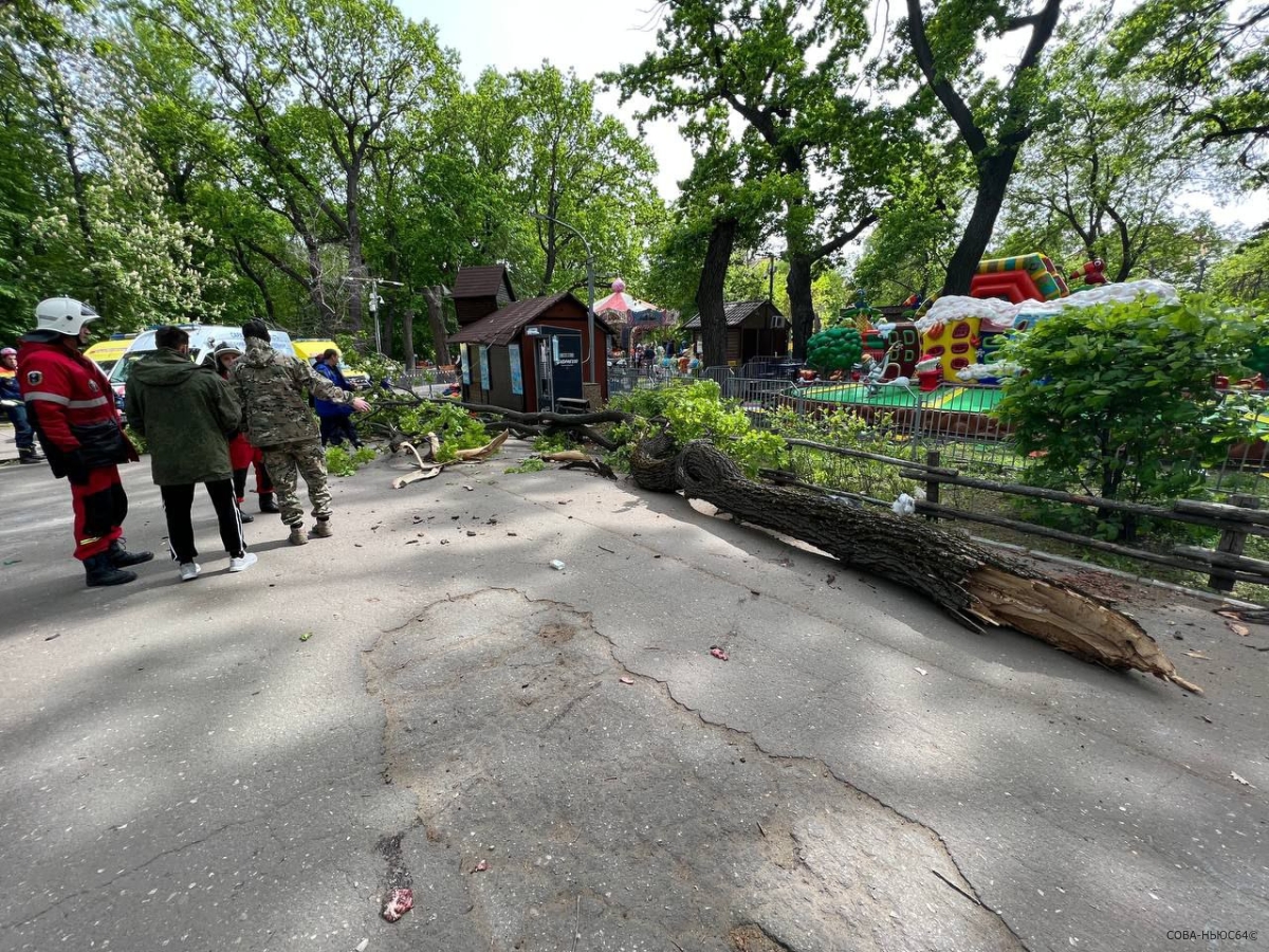 Министр Костин рассказал о состоянии пострадавших при падении дерева в Горпарке Саратова