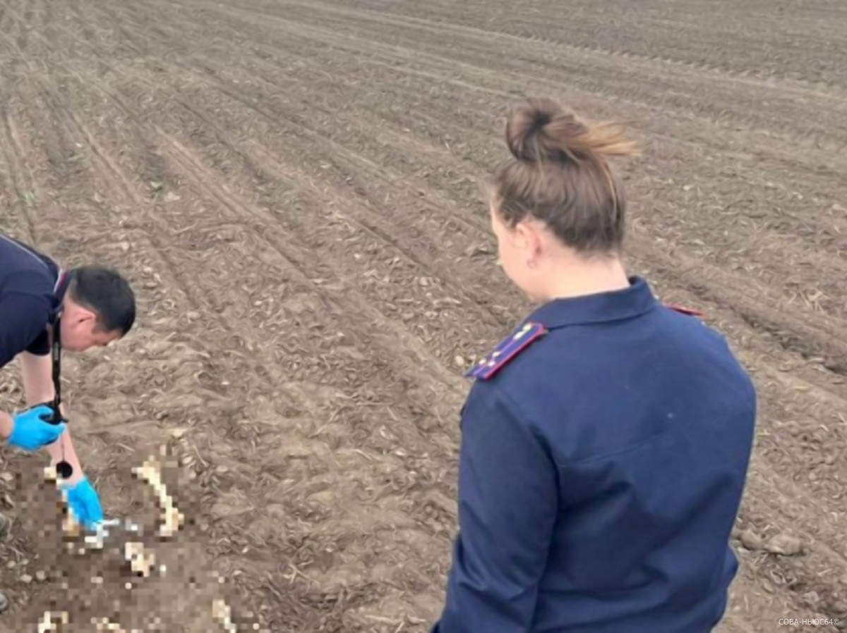 Фермеры нашли на поле в Озинском районе кости человека