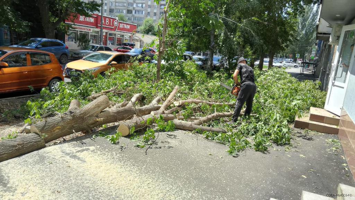После мощного ливня 2 июля в Саратове повалило 32 дерева
