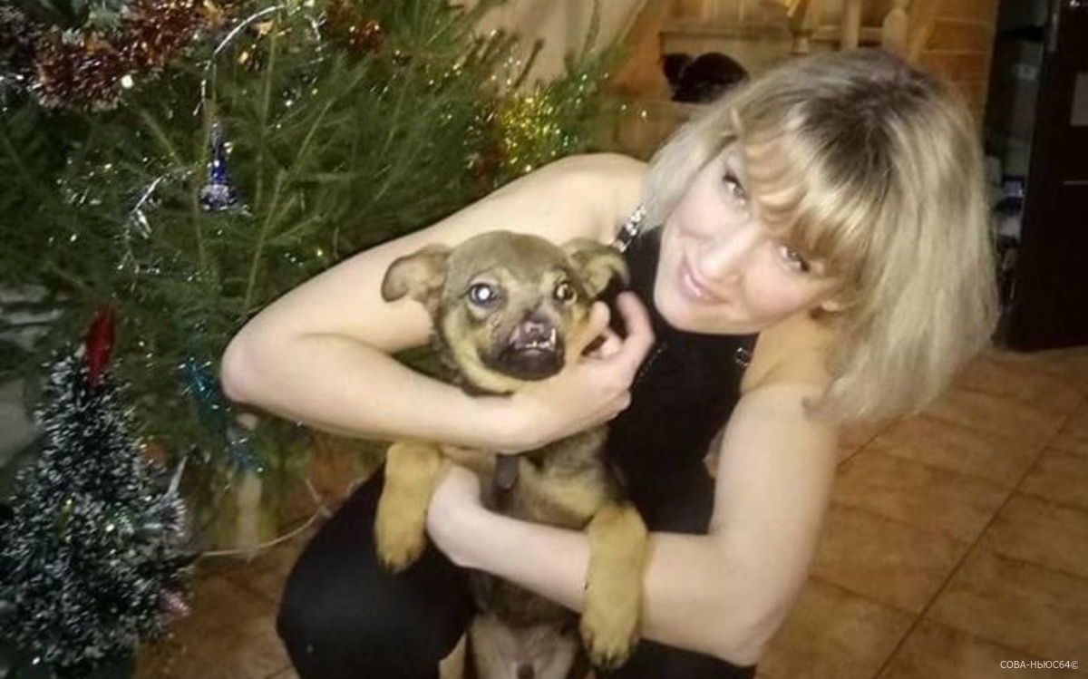 Ангелина Смирнова рассказала о проблемах приютов для бездомных животных