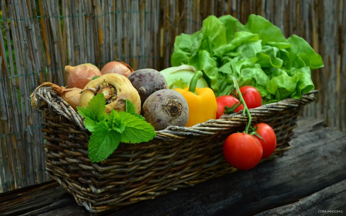 До конца лета будут работать овощные ярмарки в Саратове