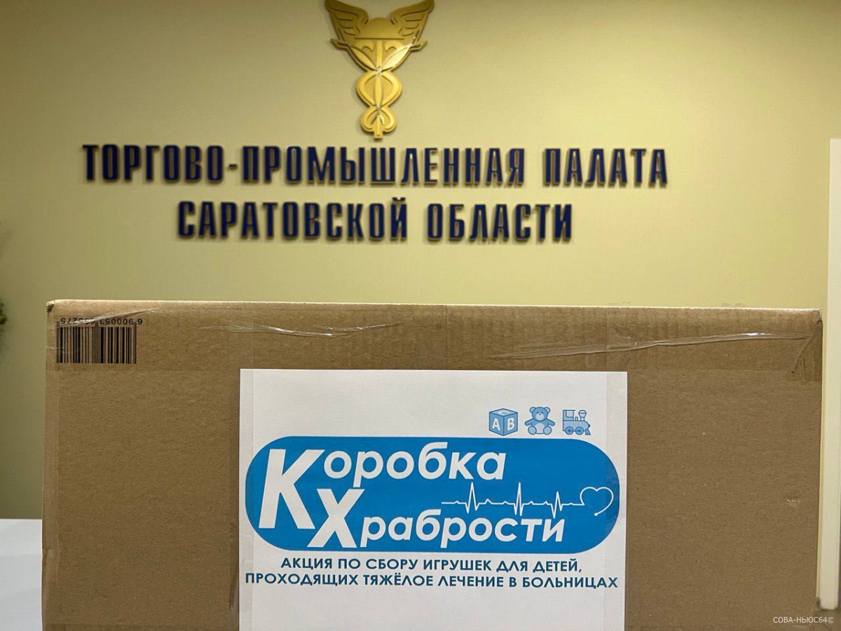 В саратовской ТПП объявили о сборе подарков для детей с тяжелыми заболеваниями