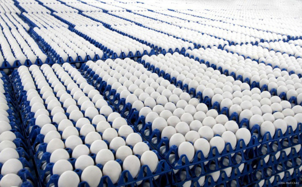 Россельхознадзор про цены на яйца: в Рязанской области не было глобального подорожания