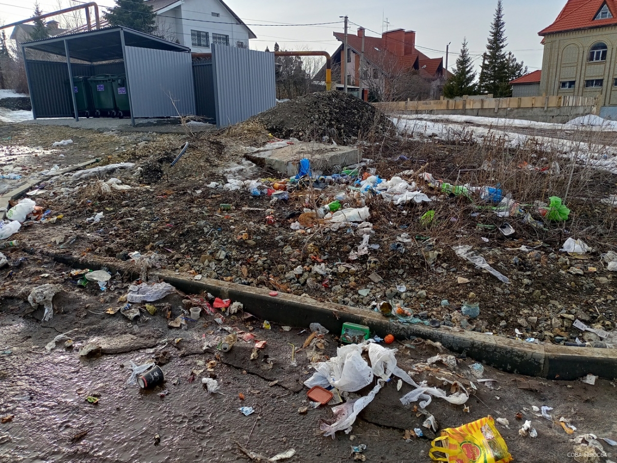 Саратовские чиновники уберут мусор на Кумысной поляне