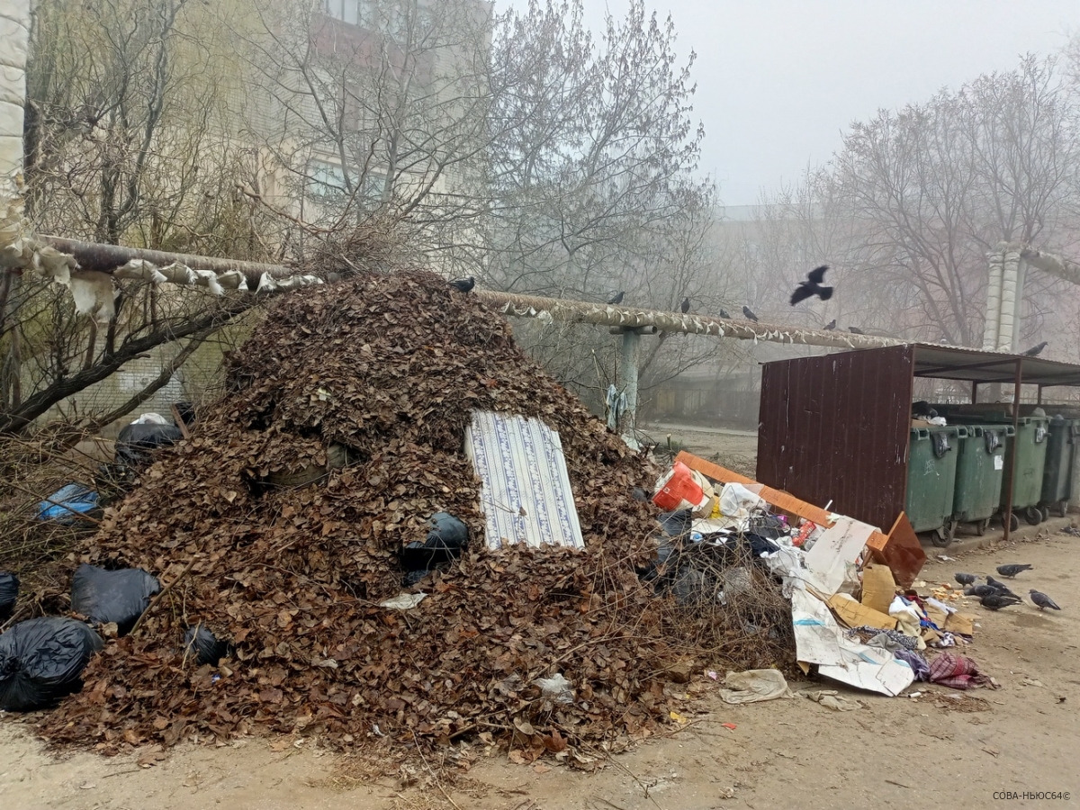 Саратовцы пожаловались на горы мусора у контейнерных площадок