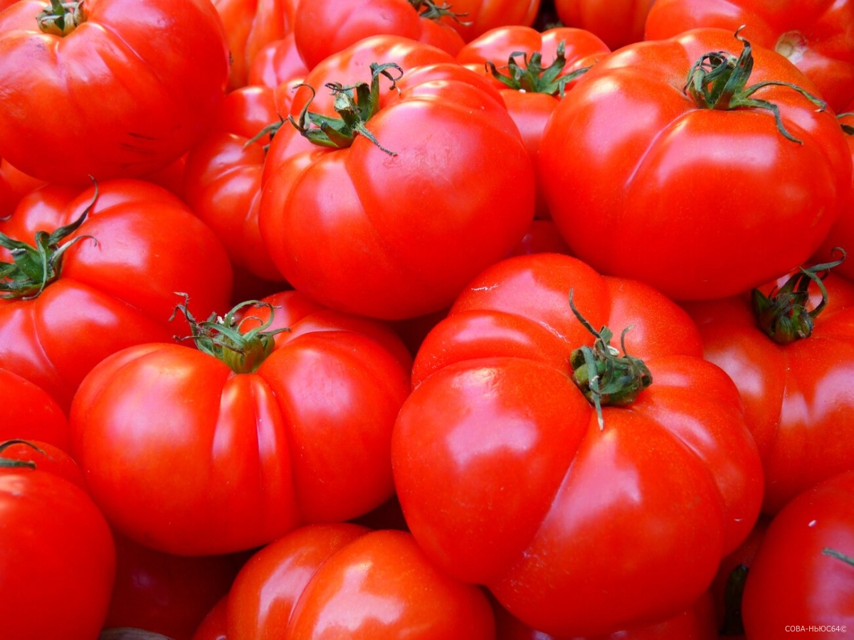 Область вошла в топ-10 по производству тепличных овощей в РФ