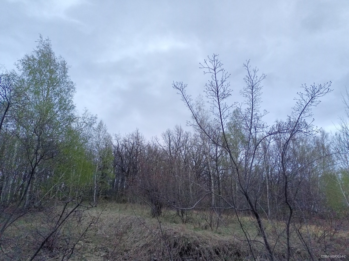 15 апреля саратовцев ждет облачная погода с дождем